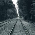 2009-01-31-0717-15_edited.png
