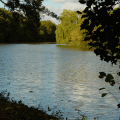 dsc02758.png